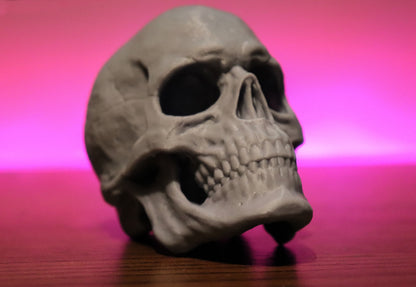 Skull