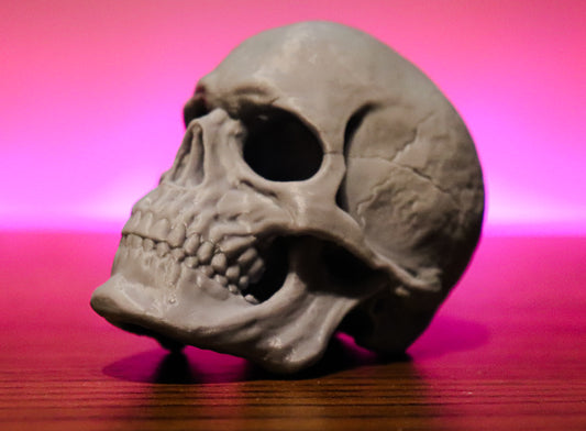 Skull